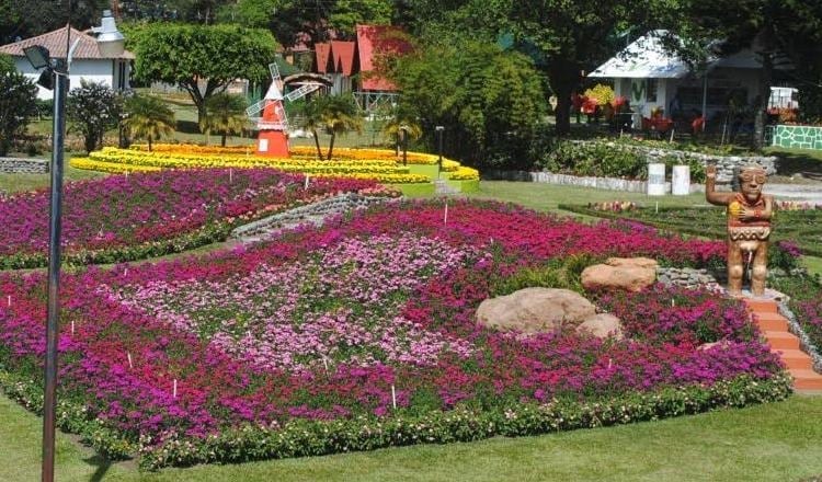 Arranca La Feria Internacional De Las Flores Y El Caf Critica