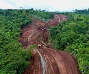Destrucción de bosques primarios.