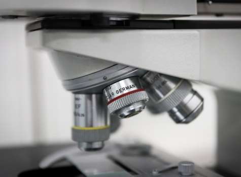 Vista de un microscopio en un laboratorio. EFE
