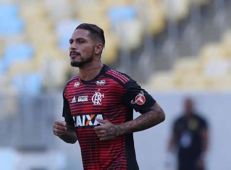 Paolo Guerrero | Paolo guerrero, Guerreros, Seleccion peruana de futbol