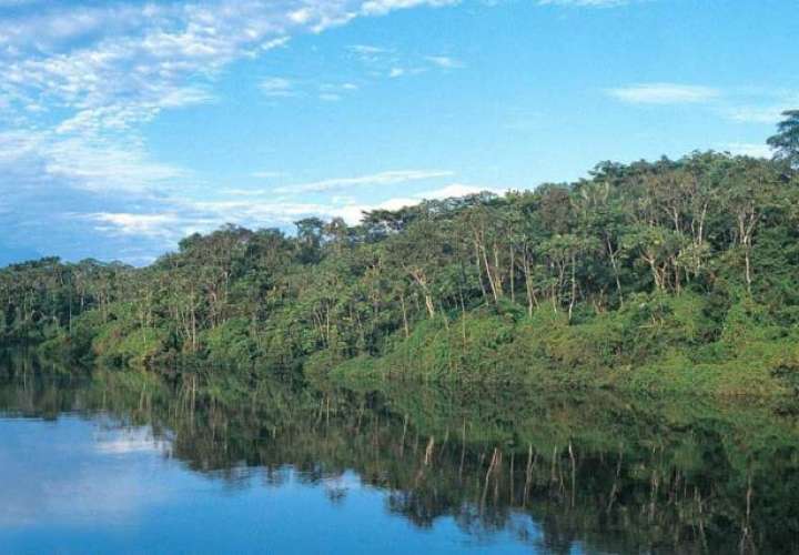 Reserva natural Pacaya Samiria en la Amazonía peruana.