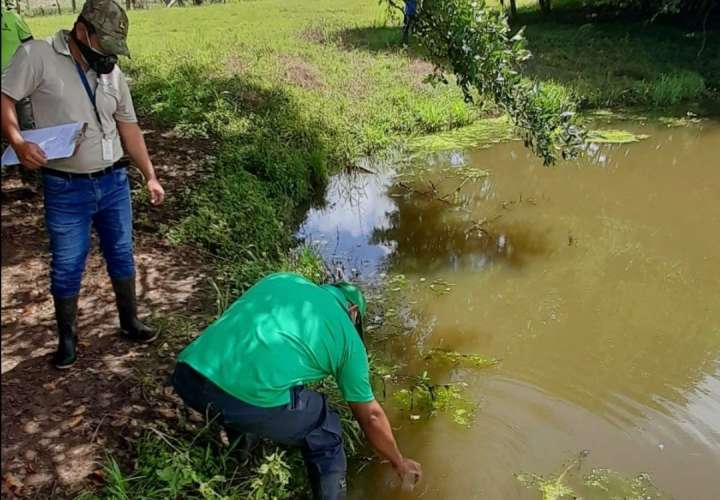 Investigan contaminación de fuente de agua en Ocú