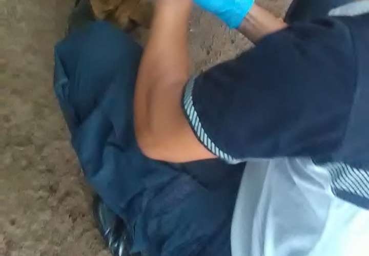 Policía Nacional rescata a un perro y sancionan a la dueña