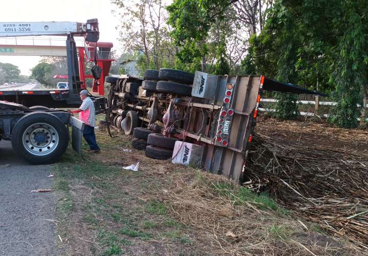Vuelco de camión cargado de caña en Interamericana 