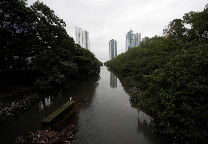 Alerta por la fragilidad del humedal de la Bahía de Panamá