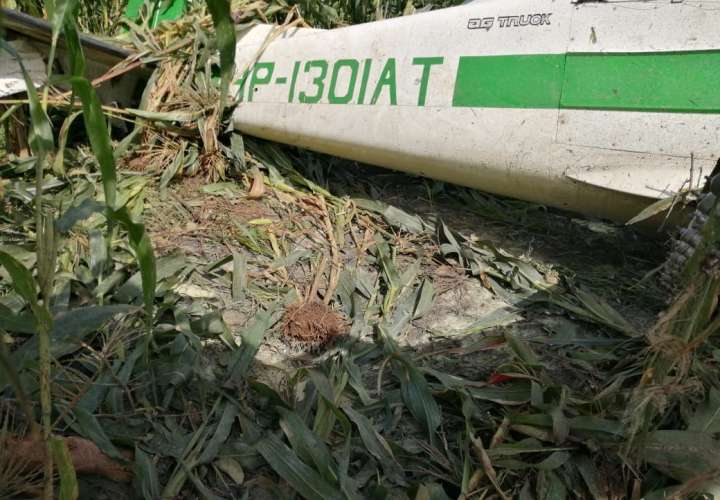 Cae avioneta fumigadora en Barú; hay un herido