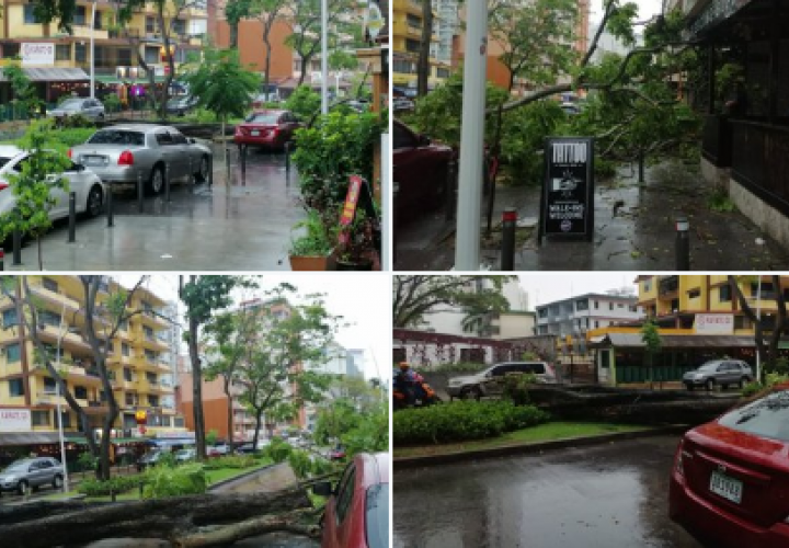 Calles anegadas y caída de árboles por fuerte lluvia en la ciudad [Videos]