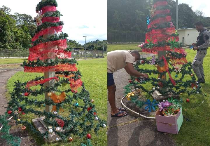 Instauran el primer árbol de Navidad ecológico en el Basilio Lakas
