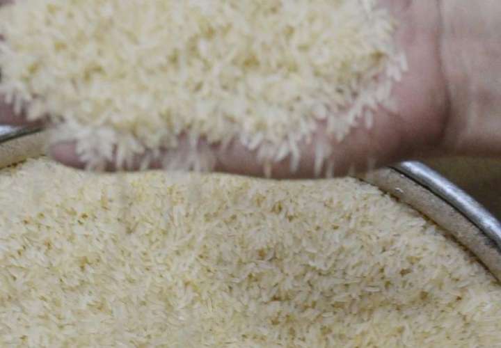 Garantizan abastecimiento de arroz 