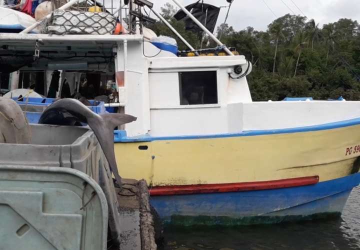 Ticos retenidos con pesca ilegal en Chiriquí a órdenes de Migración