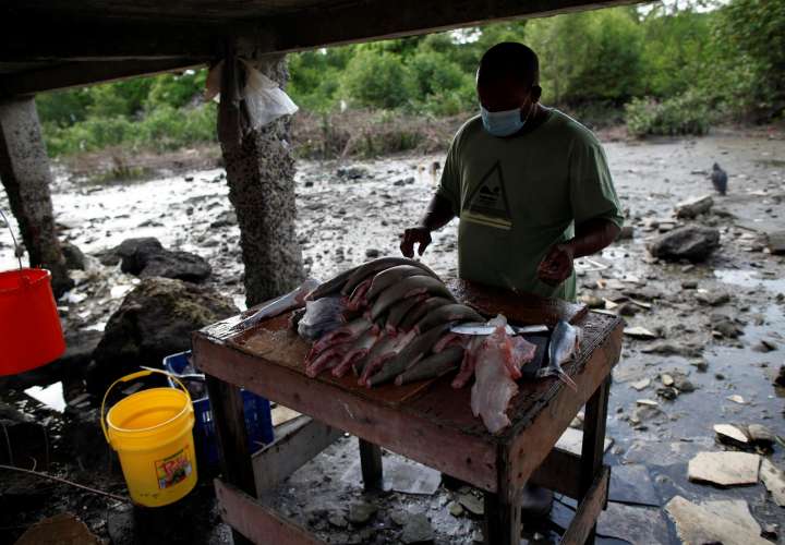 Boca La Caja sobrevive a la pandemia gracias a la pesca artesanal