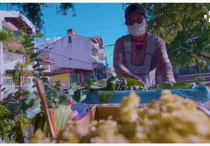 Abogada sale a la calle a vender eucalipto para obtener ingresos (Video)