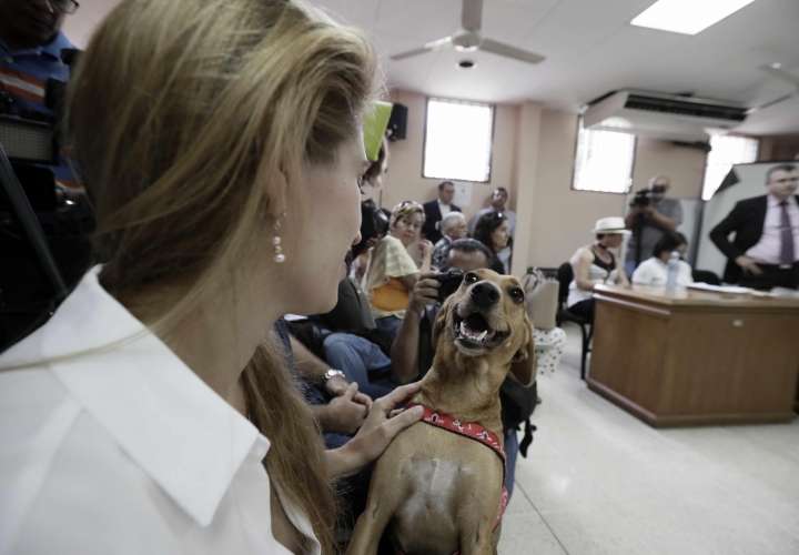 Isabel Aguilar juega con su perro Campeón este viernes en San José (Costa Rica). EFE