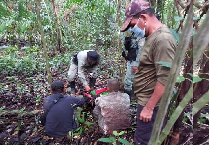 La aprehensión de los cazadores furtivos se logró durante un patrullaje por el sector de Cerro Hormiguero, corregimiento de Burunga.