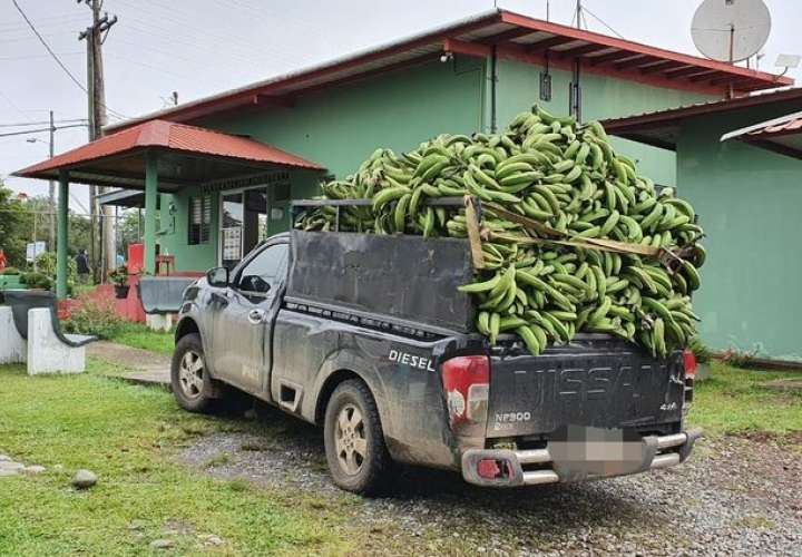Los pillaron con plátanos de contrabando