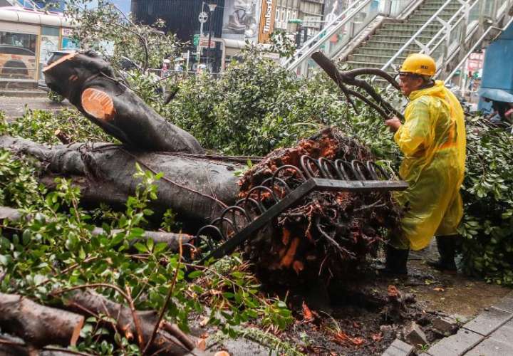 Un trabajador retira partes de un árbol caído después del paso de un tifón. EFE/Archivo