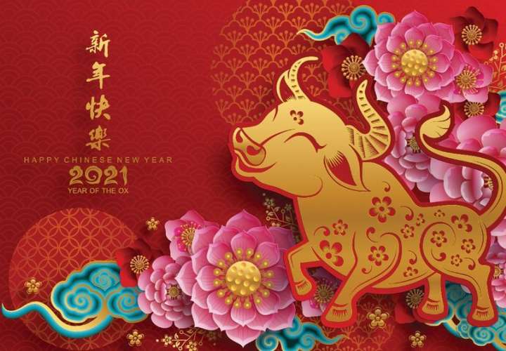 ¡Felicidades! Comunidad china en Panamá celebra Año Nuevo del Buey