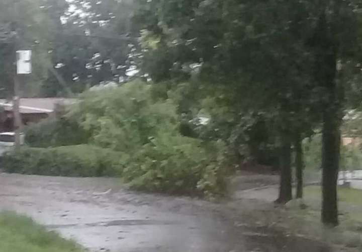 Panamá Oeste, otra zona afectada por lluvia