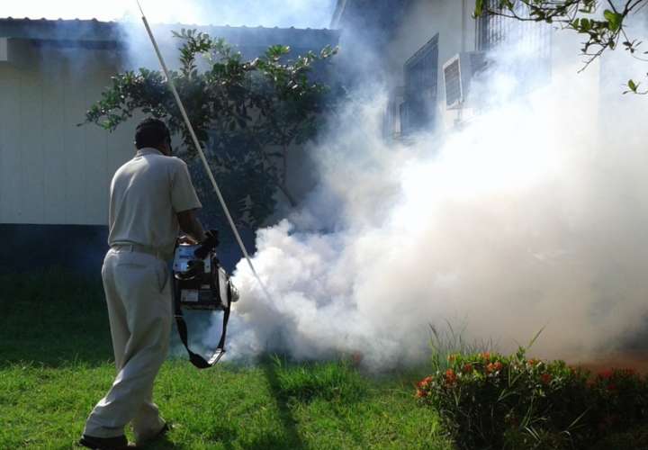 Advierten sobre riesgo potencial por dengue en Los Santos