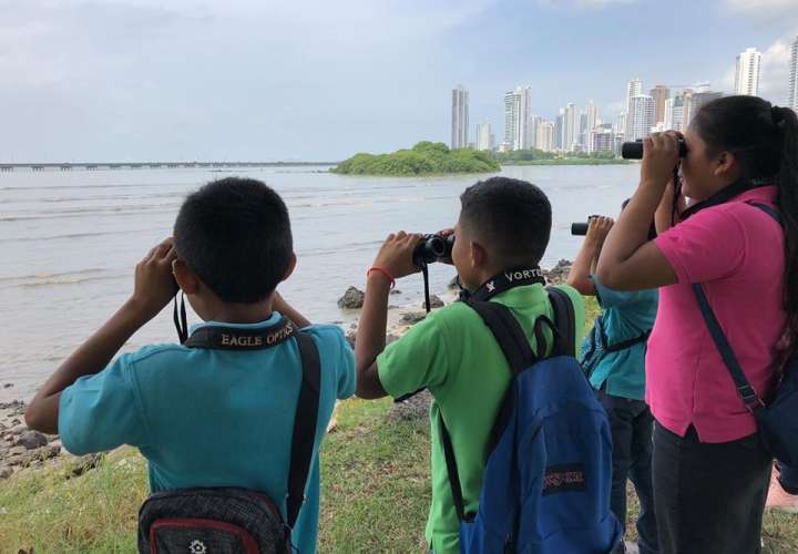 En el conteo de aves que organiza la Sociedad Audubon de Panamá, participan adultos, jóvenes y niños. Foto: Sociedad Audubon de Panamá