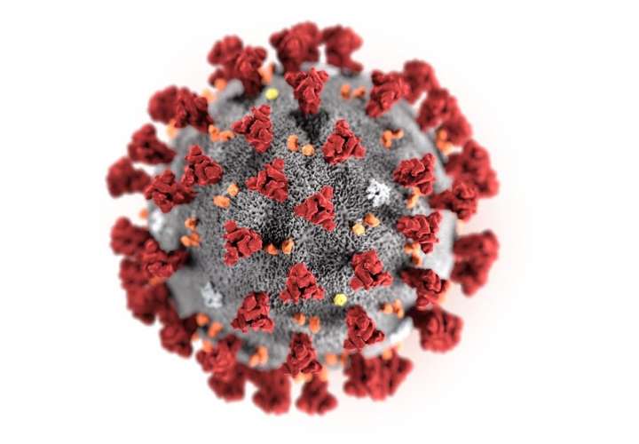 ¿Qué es un coronavirus y cómo es el de Wuhan?