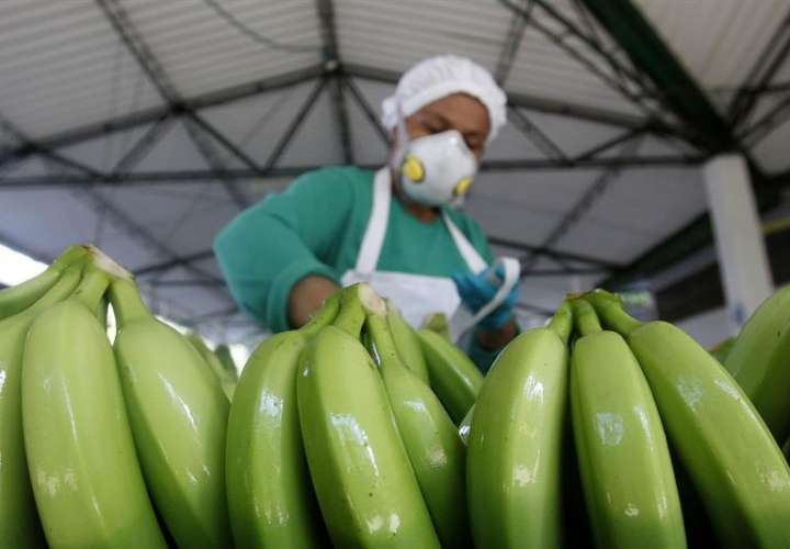 Trabajadores de bananeras en huelga para exigir ajuste de 25% del salario mínimo