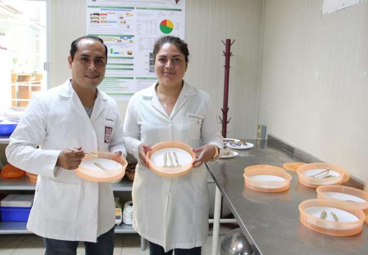 Fotografía cedida por el Instituto Politécnico Nacional (IPN), que muestra a científicos mexicanos mientras muestran cubiertos comestibles. EFE