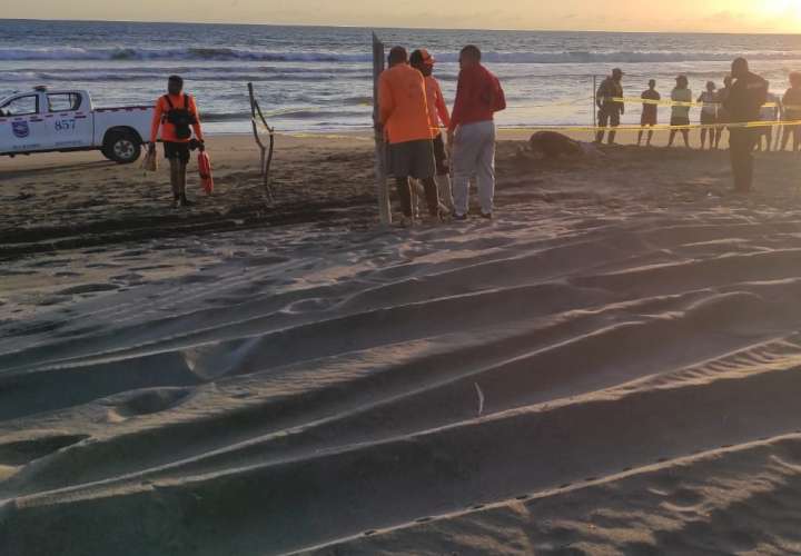Recuperan cuerpo del menor desaparecido en la playa La Barqueta