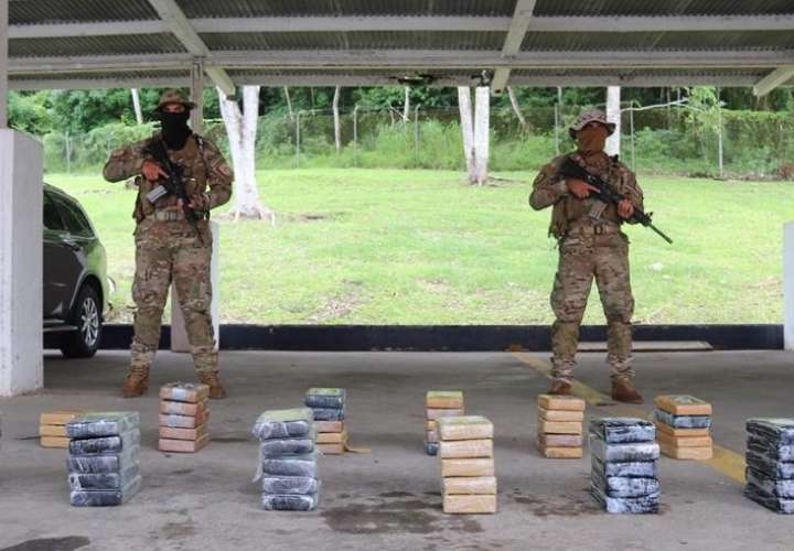 Ubican 58 paquetes de droga en manglares de Veracruz