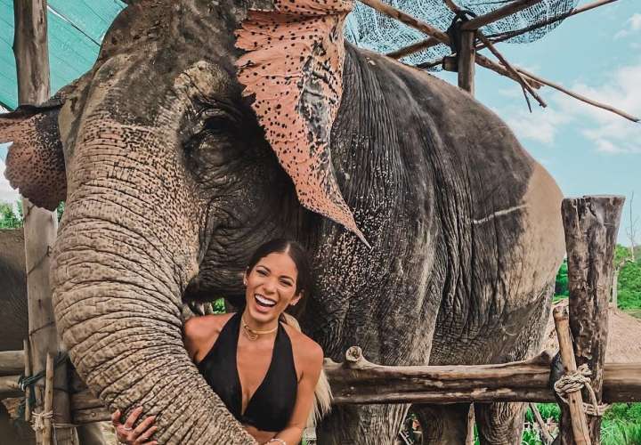 Le caen las críticas a Delany Precilla por una foto con un elefante