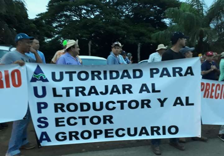 Productores de Azuero y Chepo  protestan contra las importaciones desmedidas
