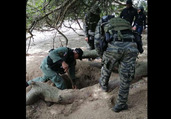 Ubican droga enterrada en la arena debajo un árbol en playa de Veracruz (Video)