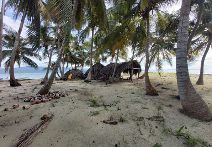 Detectan centro de entrega de droga en isla Pepsidug