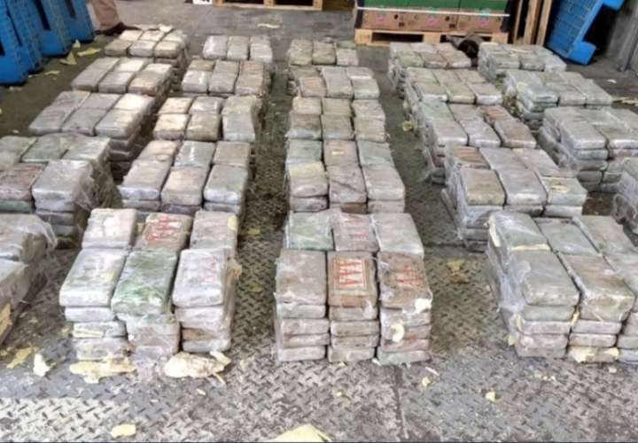 Decomisan 700 paquetes de droga de narcos  en Colón