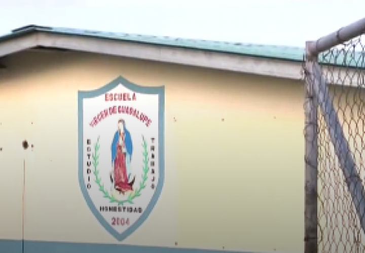 Suspenden clases por invasión de palomas en escuela de Virgen de Guadalupe