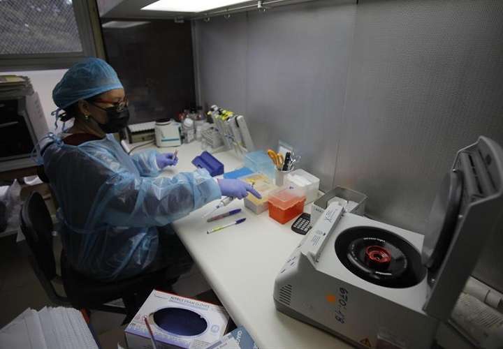 Investigadores panameños trabajan en laboratorio en un estudio genético, uno de los primeros de su tipo en Centroamérica, que ayuda al éxito de los trasplantes de órganos. EFE