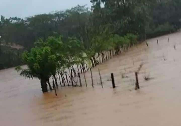 Fuertes lluvias en Veraguas causan pérdidas de productos agrícolas