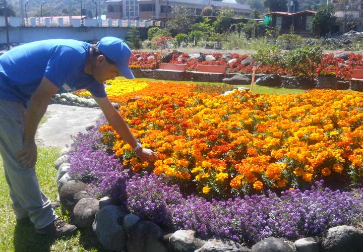 Feria de las Flores y el Café en Boquete abre sus puertas al público