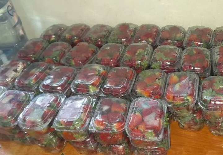 Cargaba en un bus 125 canastas de fresas de presunto contrabando