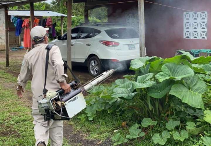 Se dispara infestación del mosquito Aedes aegypti en Chiriquí