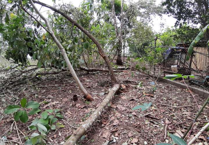 Granizo, fuerte ventolina y lluvia afecta 10 casas en Los Ruices