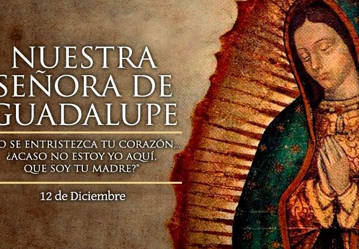 Panameños y devotos del mundo celebran festividad de la virgen de Guadalupe