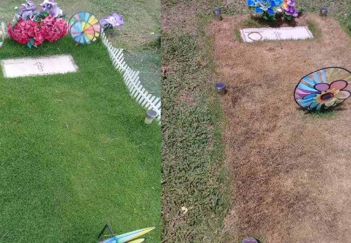 ¿Qué le pasó a la hierba alrededor de la tumba de víctima del hotel El Panamá?