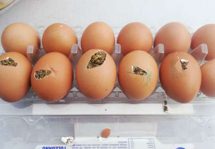 Huevos preñados de droga intentan ingresar a la cárcel 