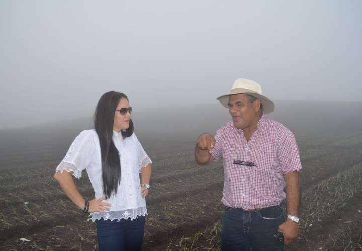 Zulay propone proyecto de rescate agropecuario