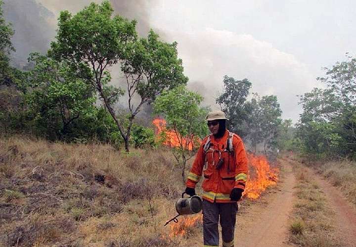Militares combatirán el incendio forestal