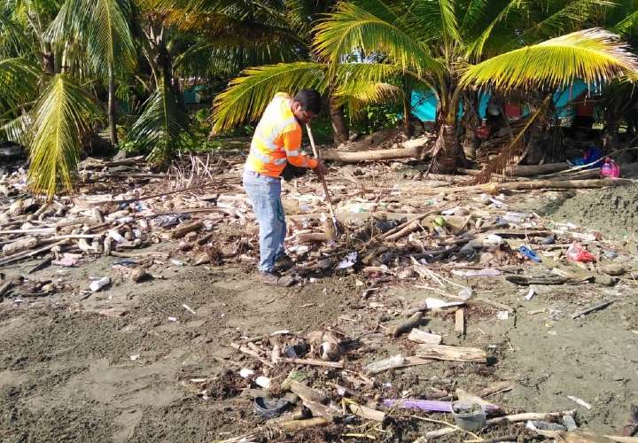 Limpian la playa en Palmas Bellas 