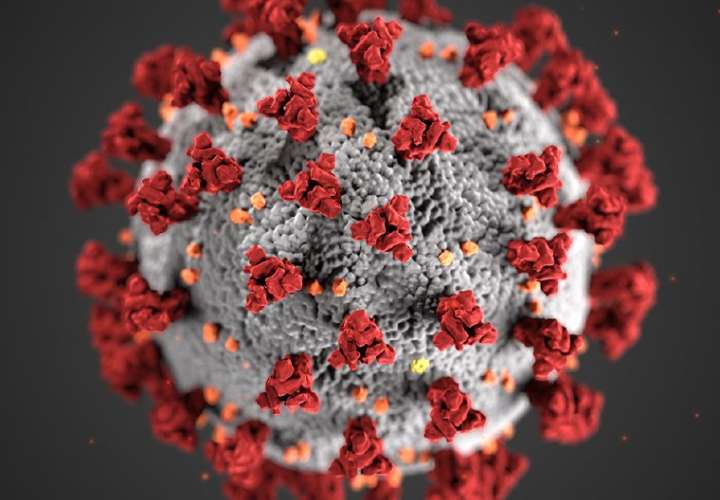 Pena de hasta 15 años para quienes ‘peguen’ el coronavirus de maldad