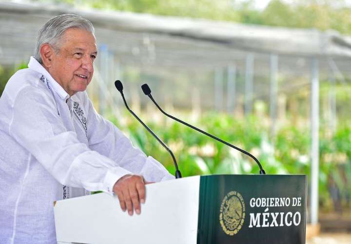 Ente electoral mexicano defiende el veto al presidente sobre las elecciones