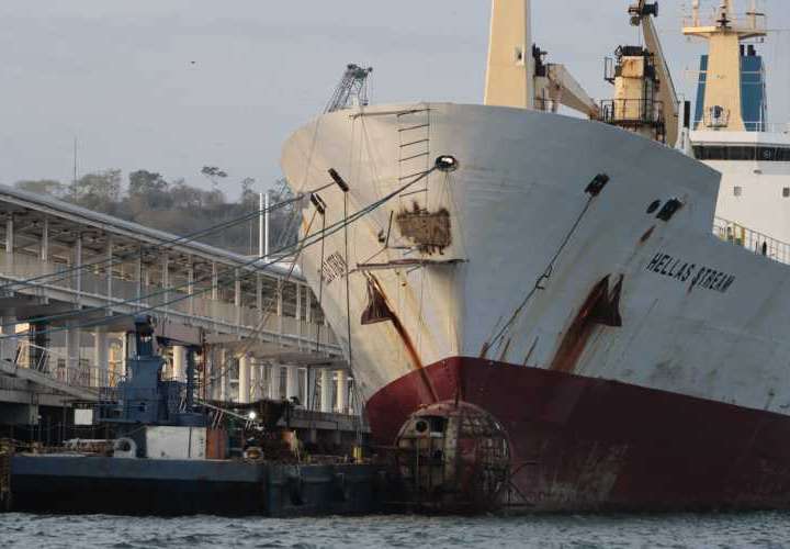 ¿Puerto de cruceros o astillero en Amador?